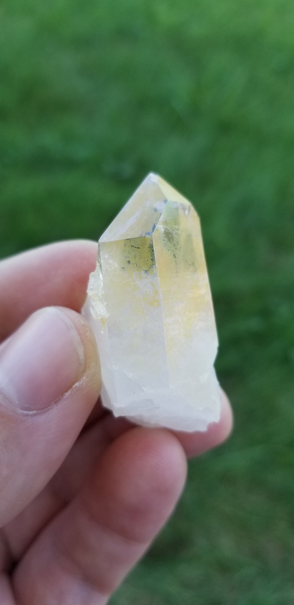 Thumbnail: Golden Healer