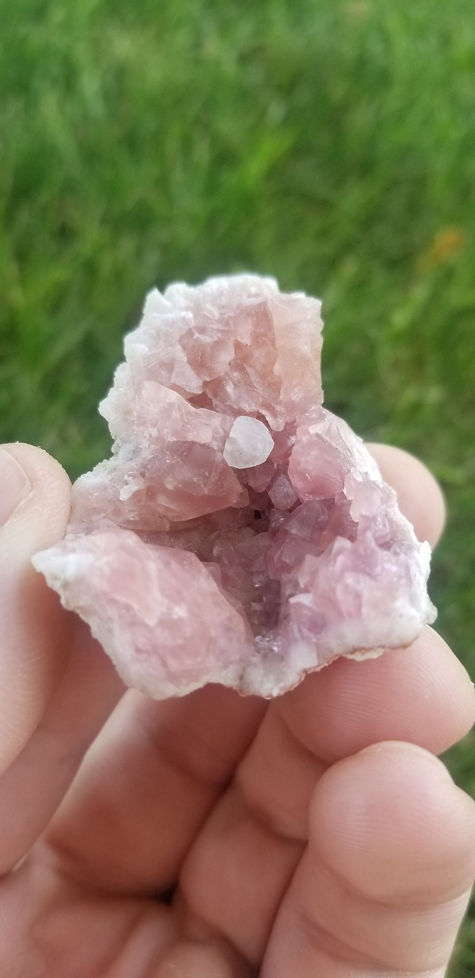 Thumbnail: Pink Amethyst Geode (Argentina)
