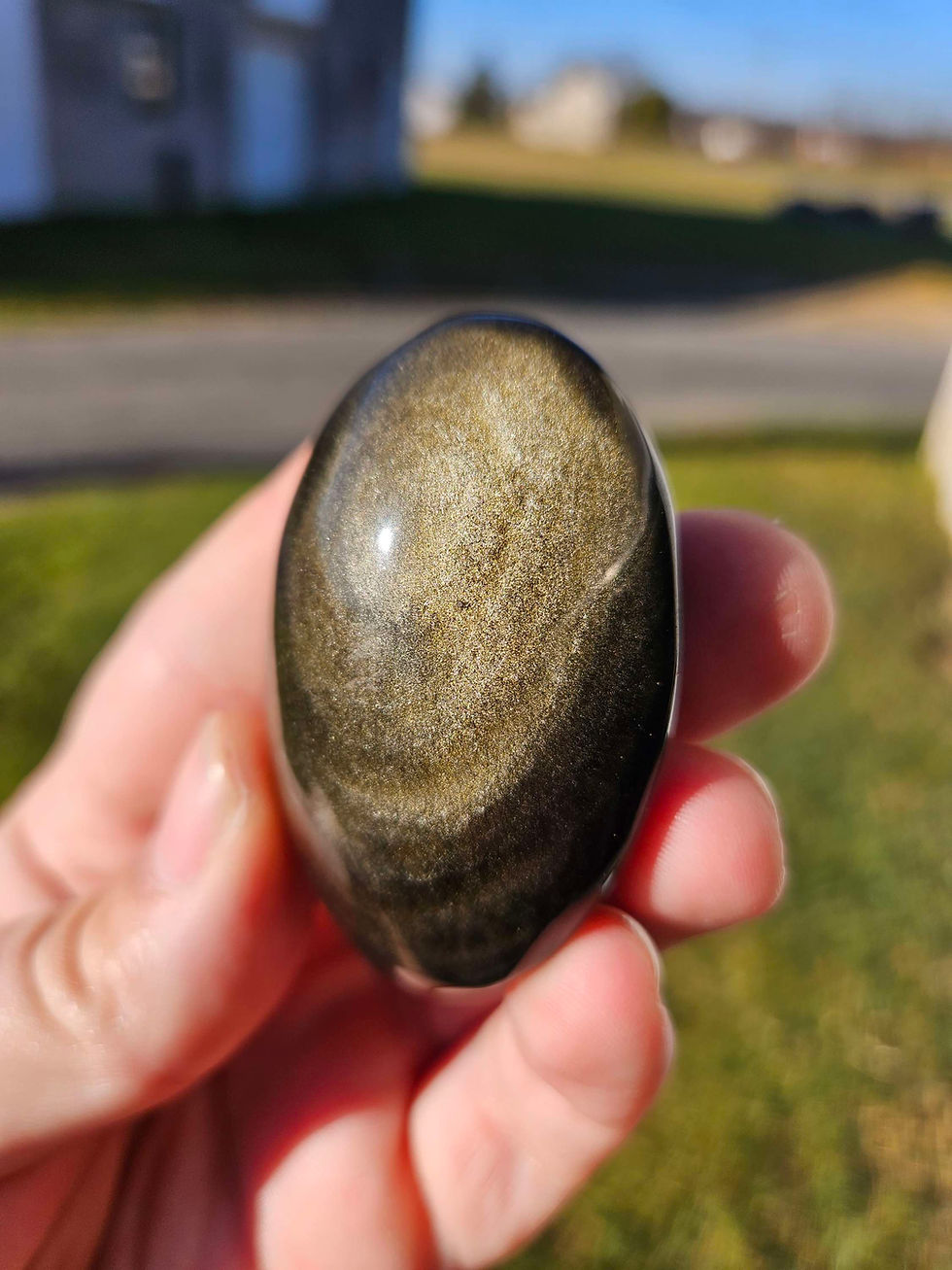 Thumbnail: Gold Sheen Obsidian Palmstone