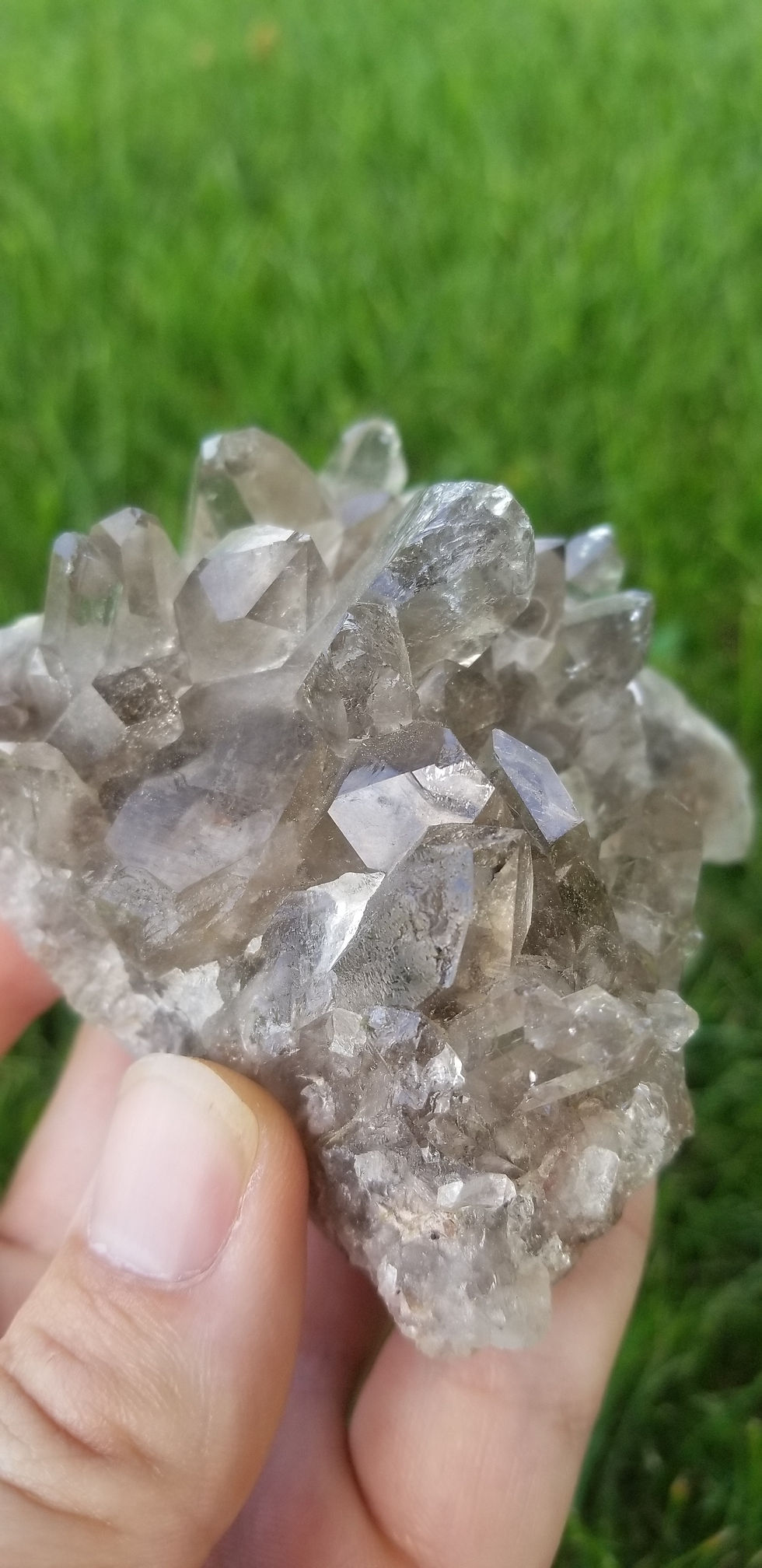 Thumbnail: Smoky Quartz Cluster (Mexico)