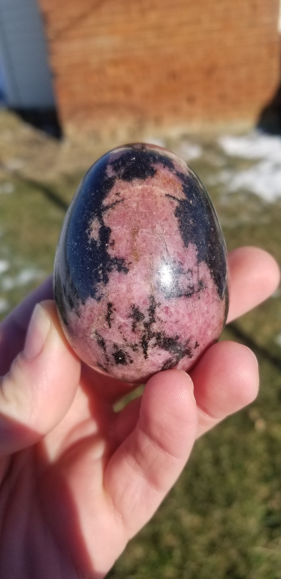 Rhodonite Egg (South Africa)
