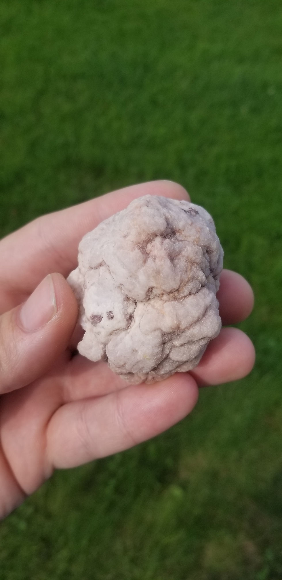 Thumbnail: Pink Amethyst Geode with Calcite (Argentina)