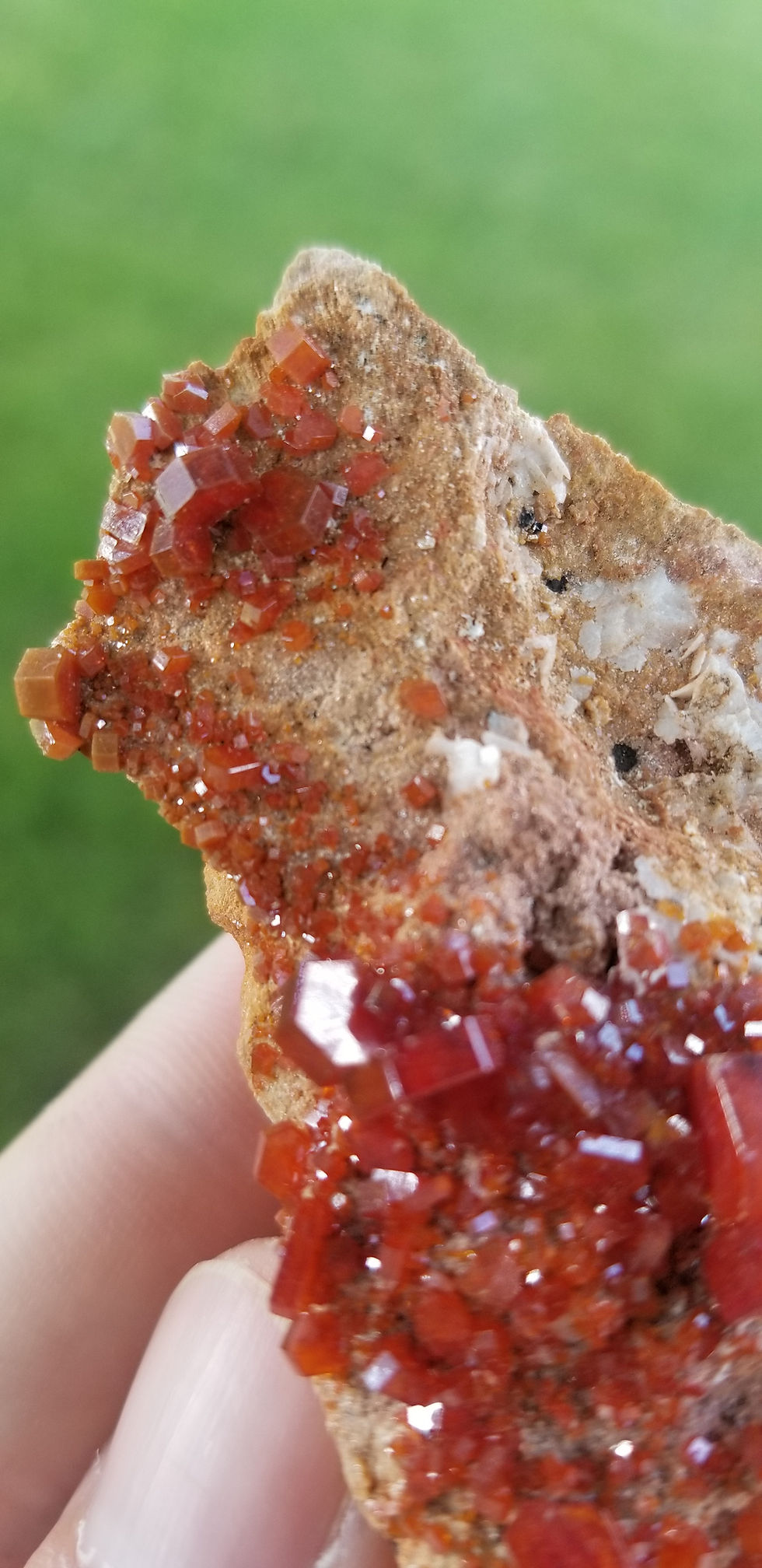 Thumbnail: Vanadinite (Morocco)