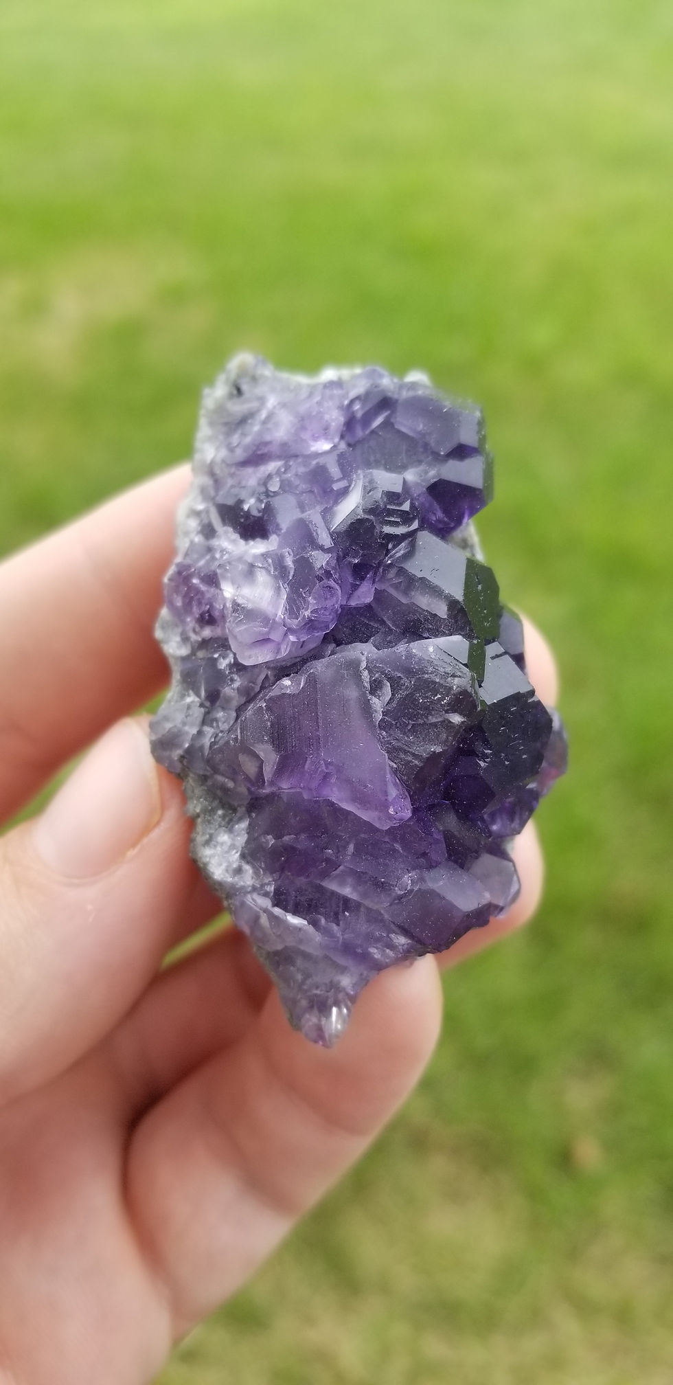 Thumbnail: Fujian Fluorite (China)