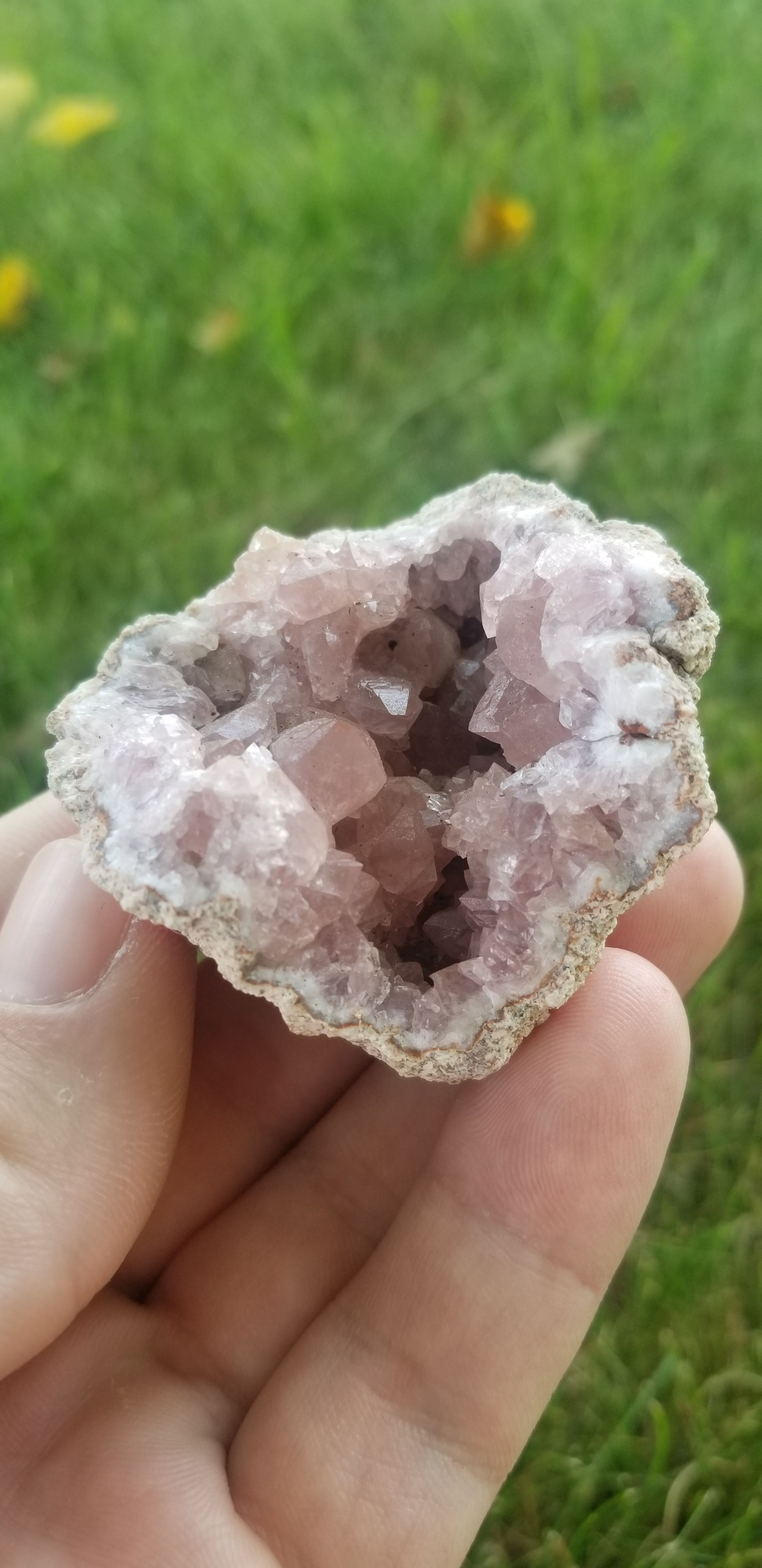 Pink Amethyst Geode (Argentina)