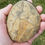 Thumbnail: Large Septarian Nodule (Morocco)