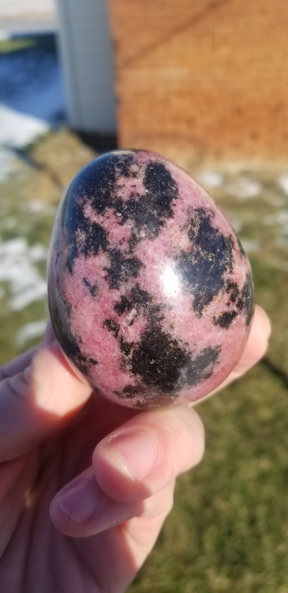 Rhodonite Egg (South Africa)