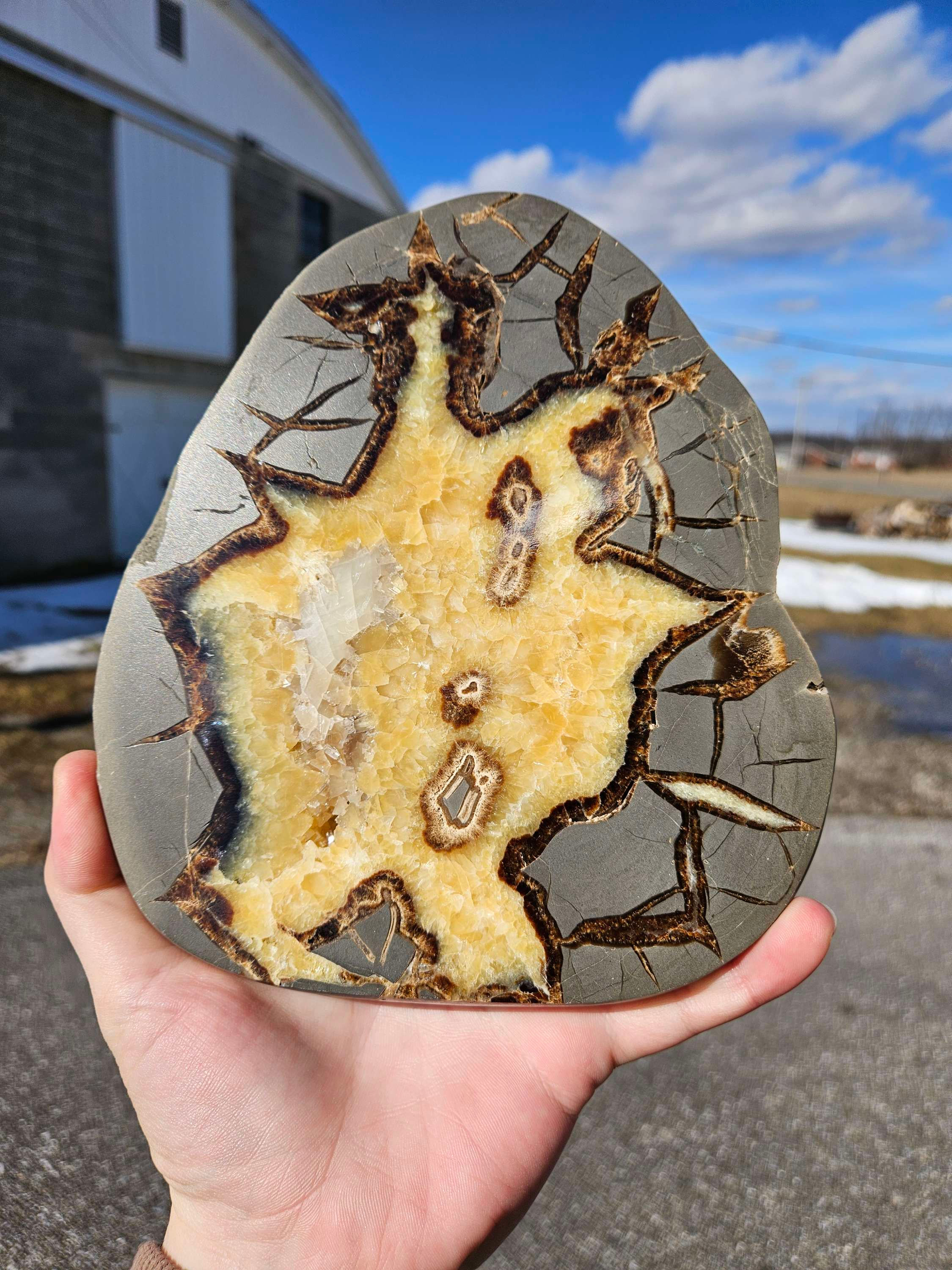 Septarian Slab