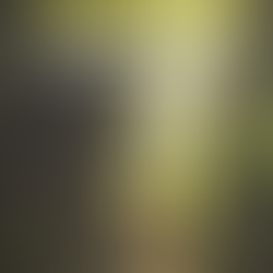 Helping domestic violence survivors to triumph over terror