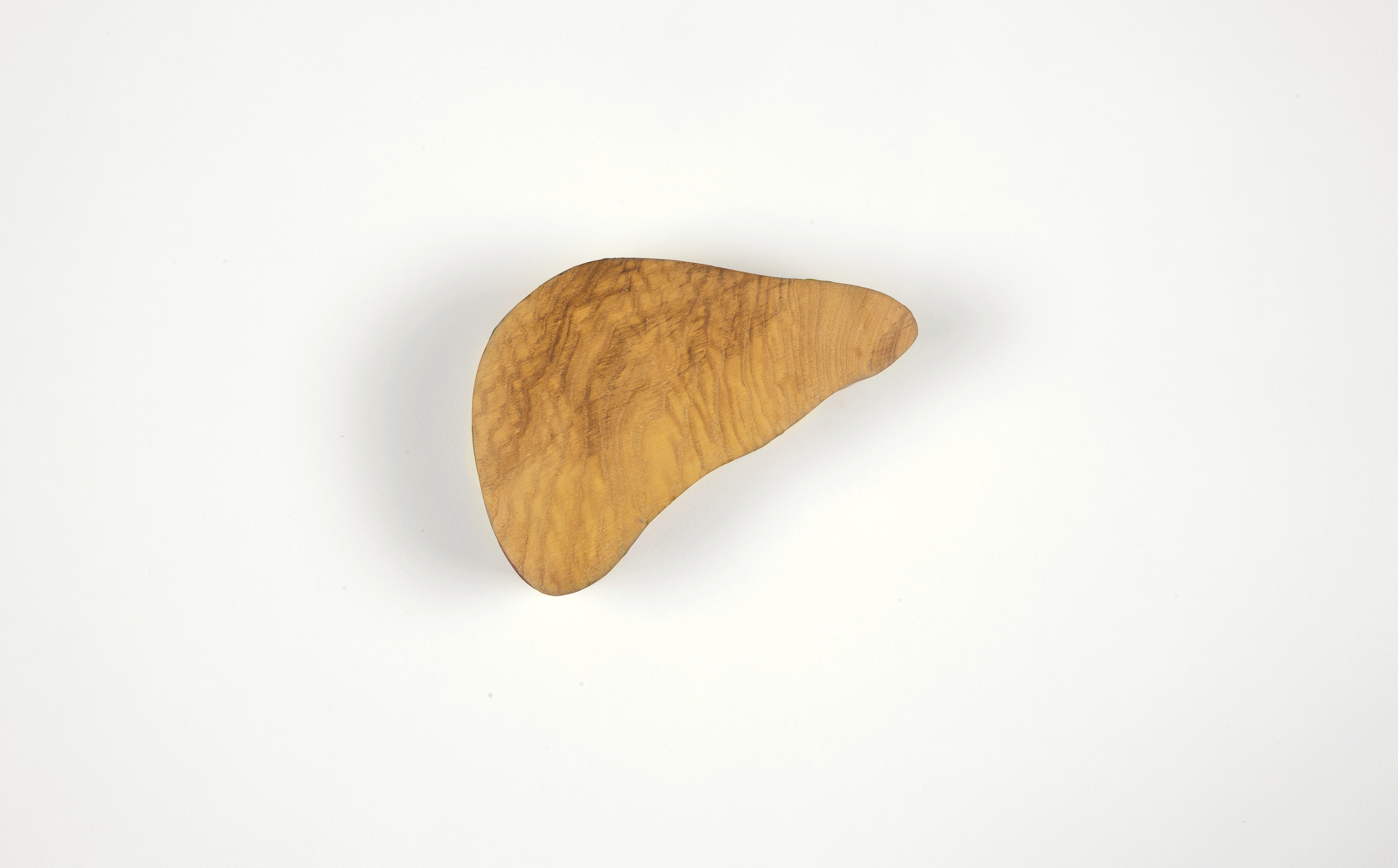Liver box