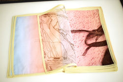 Something...Remember