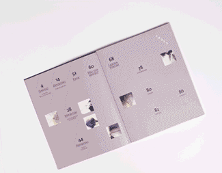 Paradox - Magazingestaltung