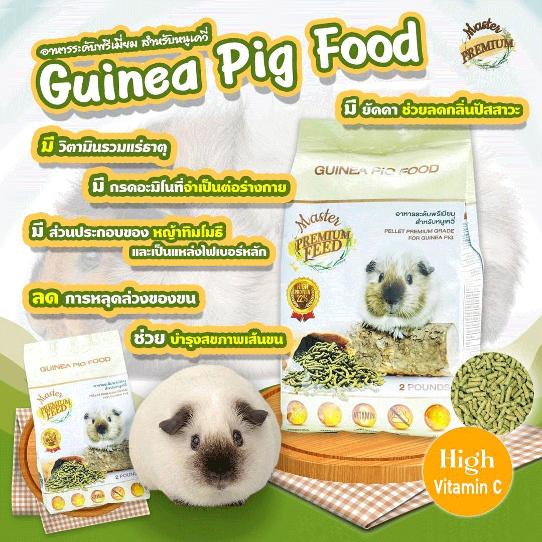 guinea.gif