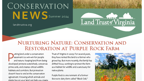 2024 Summer Conservation News