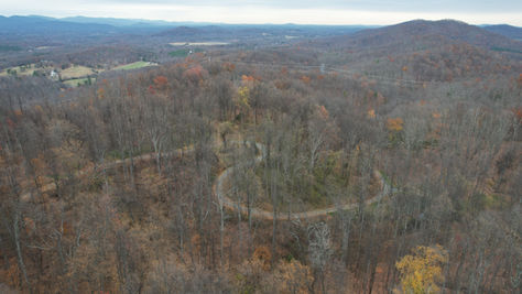Land Trust of Virginia Protects 107-Acre Forest Property in Albemarle County