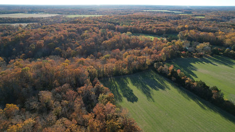 Land Trust of Virginia Protects 541-Acre Gasch Property