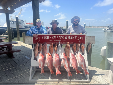 Catch the Adventure: A Morning with Blue Water Excursions in Port Aransas