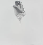 "Taxonomy: Exposure #10, 11" x 11", graphite on paper, 2025