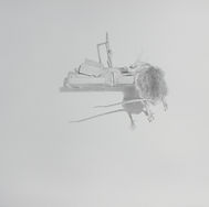 "Taxonomy: Exposure #6, 11" x 11", graphite on paper, 2025