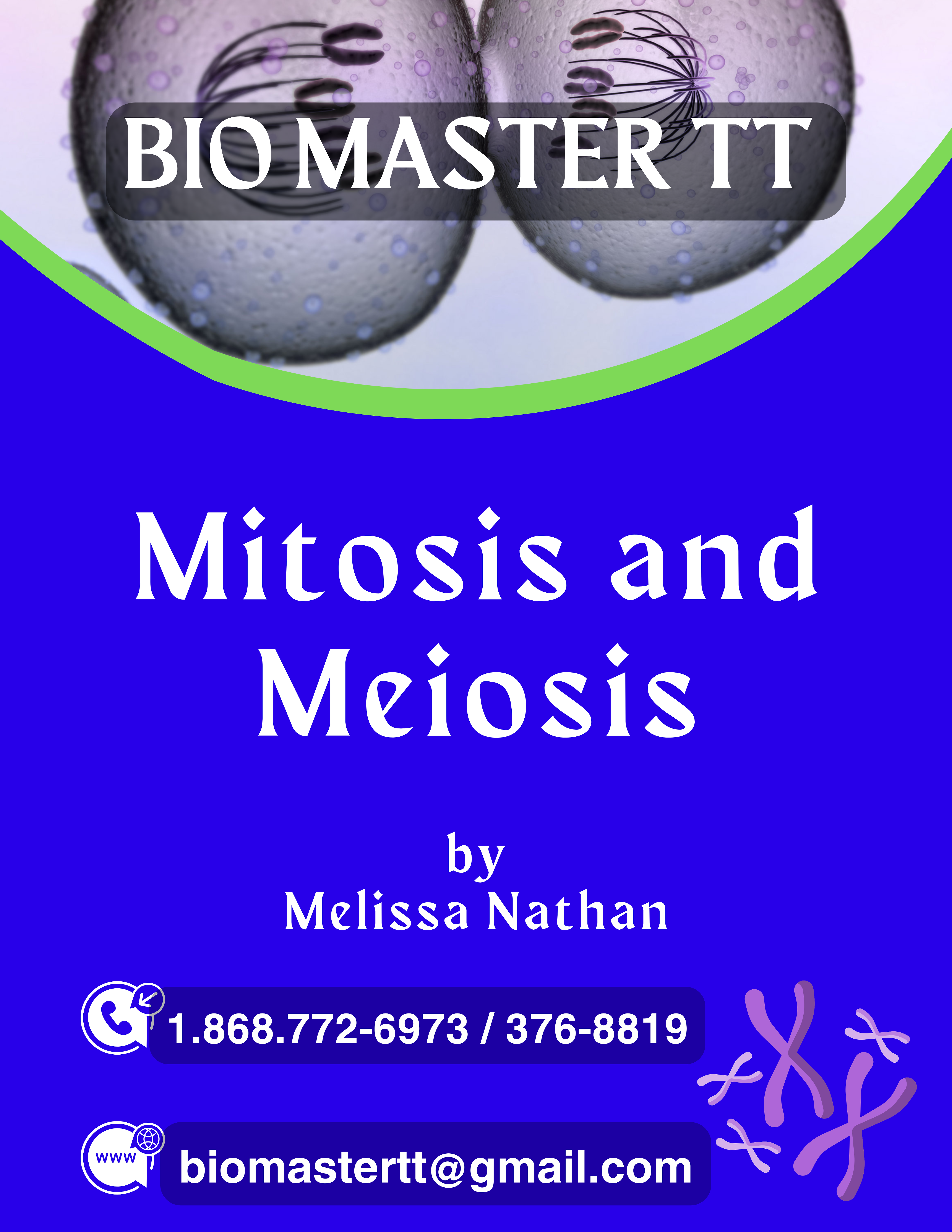Mitosis and Meiosis