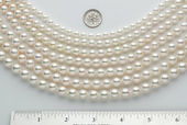 pearl size1.jpeg