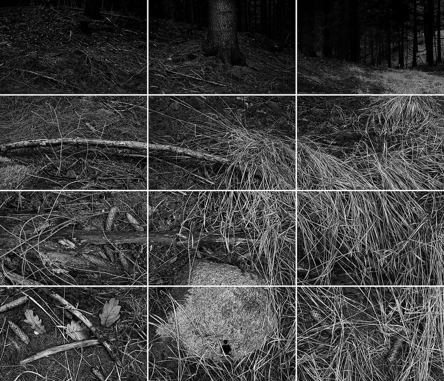 2405_mosaic_web.jpg