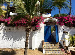 Beach Homes