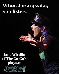 Jane Wiedlin supports Joey's Song