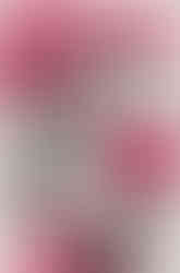 Nöthin' But A Good Time: The '80s Hard Rock Explosion Richard Bienstock Tom Beaujour National Metal Day