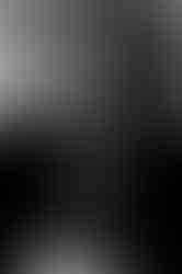 Roddy Bottum: The Royal We A Memoir