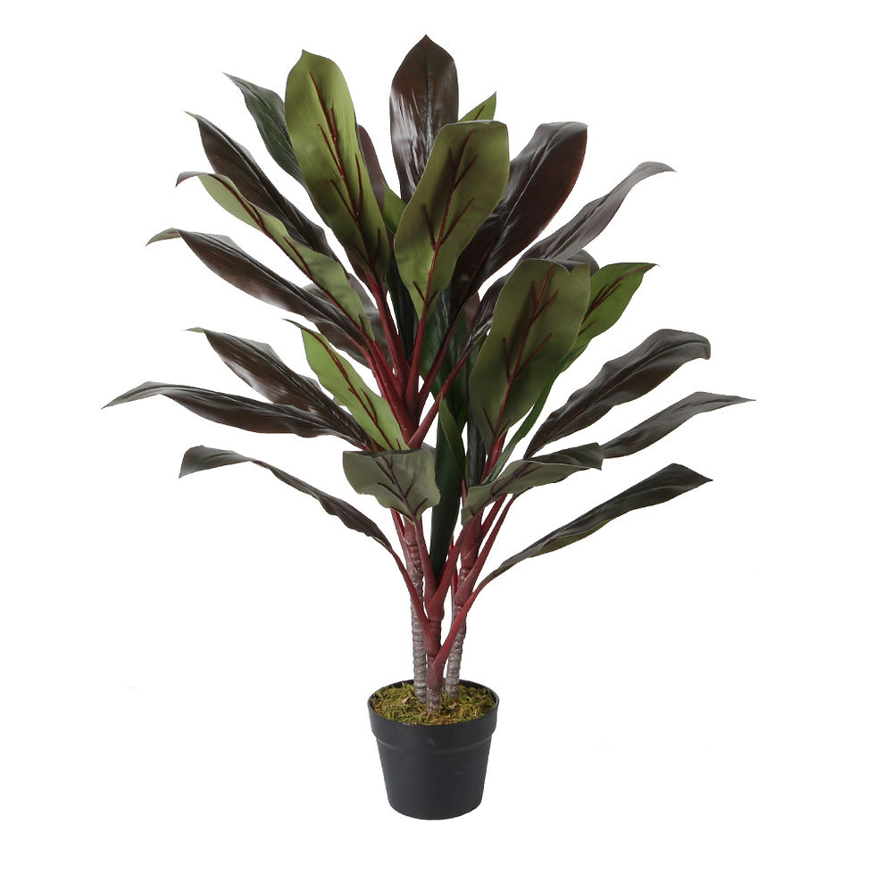 Cordyline Fruticosa Decorative Potted Flower; 90cm