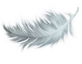 Je suis Isa B'aile d'Ange, les soins énergétiques et votre bien-être sont le lien qui nous unie à l'univers et aux messages que la Vie a à vous délivrer...https://isabailedange.wixsite.com/energeticienne