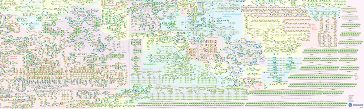 Metabolic_map.jpg