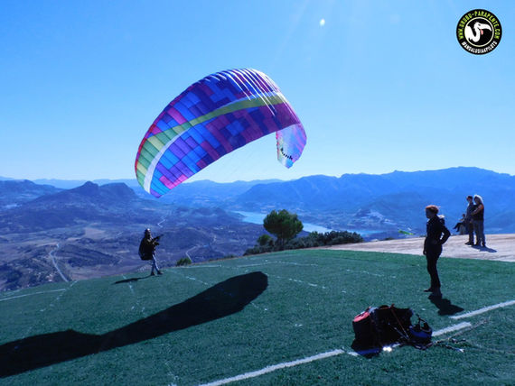 urubu parapente photo .jpeg