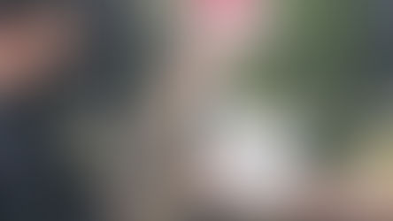 Независимая газета: "Зорькин решит судьбу одиночных пикетчиков"