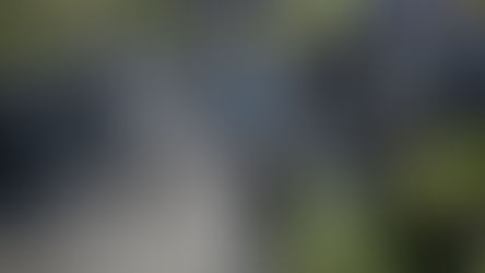 Независимая газета: "ЕСПЧ запрещает бить мирных демонстрантов в России"