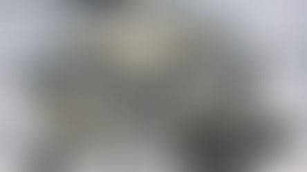 Независимая газета: "Верховный суд торпедирует сплошную кассацию"