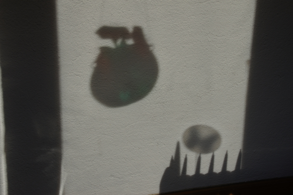 Ombres chinoises