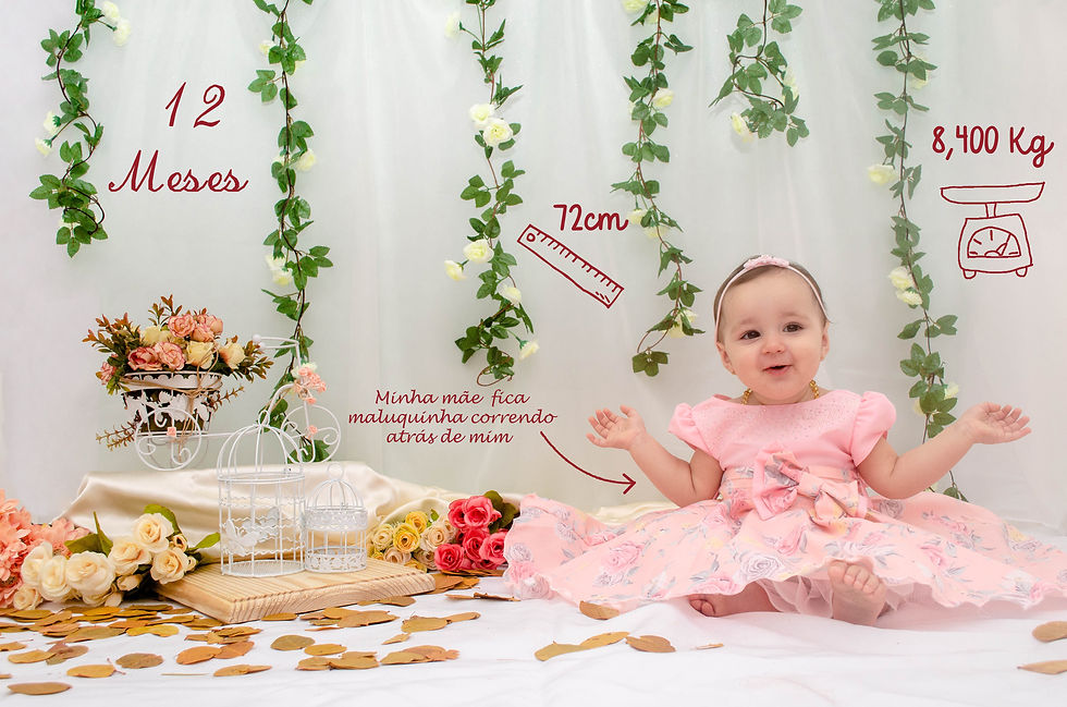 12 meses