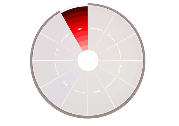 monochromatic color scheme red - colorblind designers 