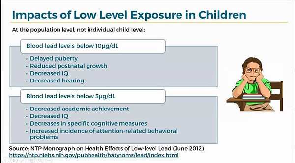 Impacts of low lead levels.JPG