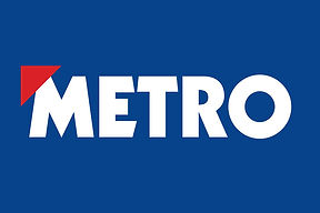 metro log.jpeg