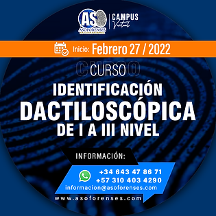 CURSO DE IDENTIFICACIÓN DE l A lll NIVEL