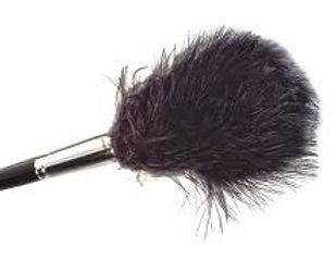 Plumero grande de Marabú