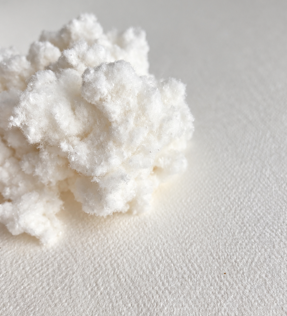 Nuage de fibres blanches sur fond texturé.png