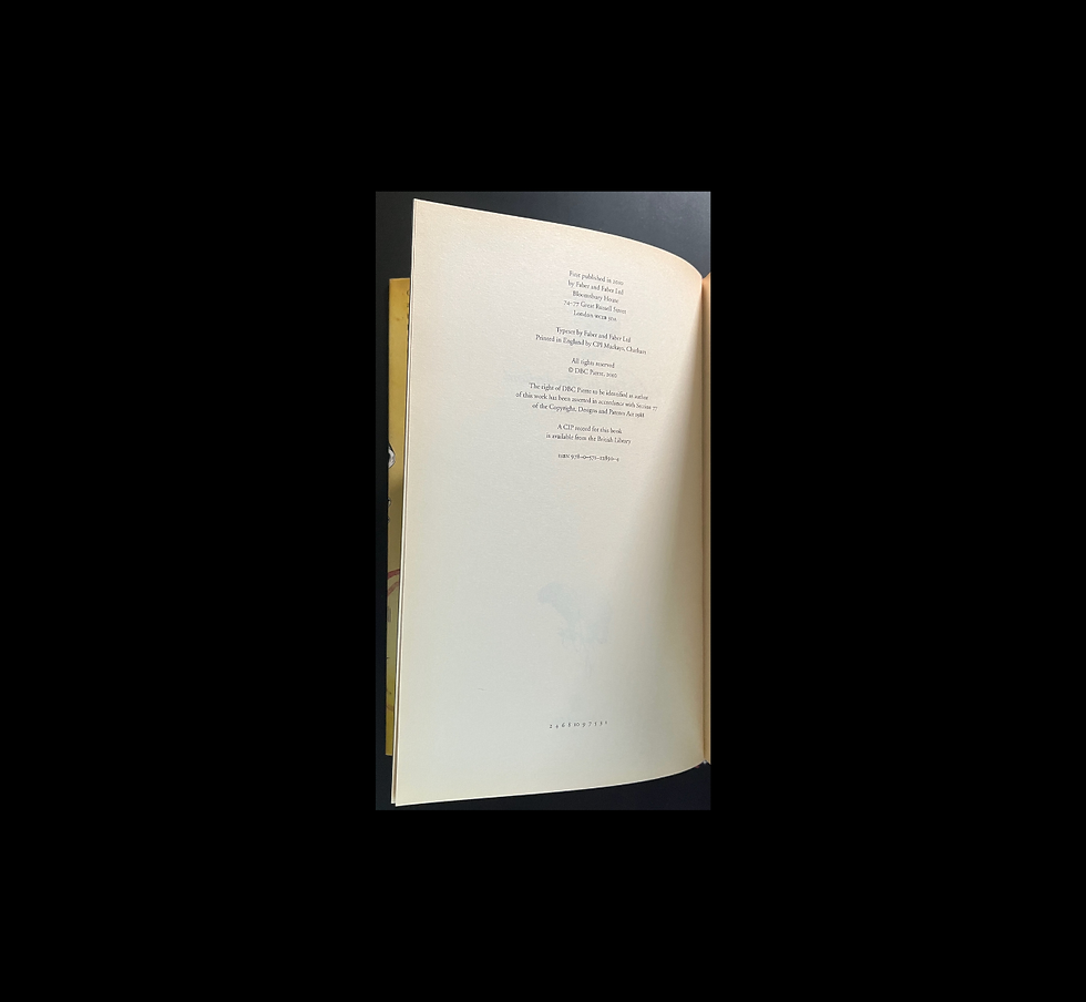 Thumbnail: Lights Out in Wonderland (2010) — DBC Pierre First Edition Signed Hardcover