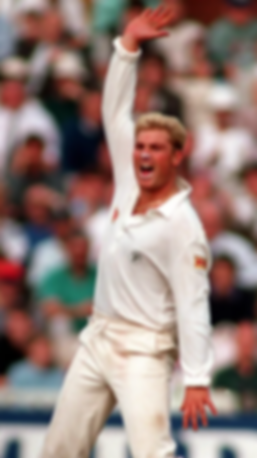 Shane Warne.png
