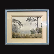 F P Willett (Canva).jpg