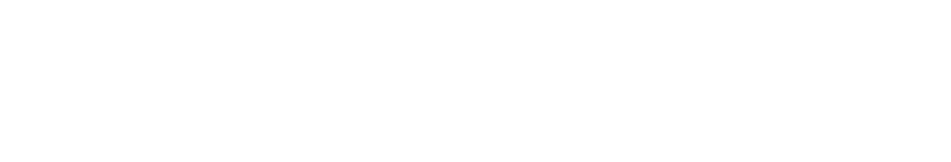 MX1 Premier Partners, White.gif