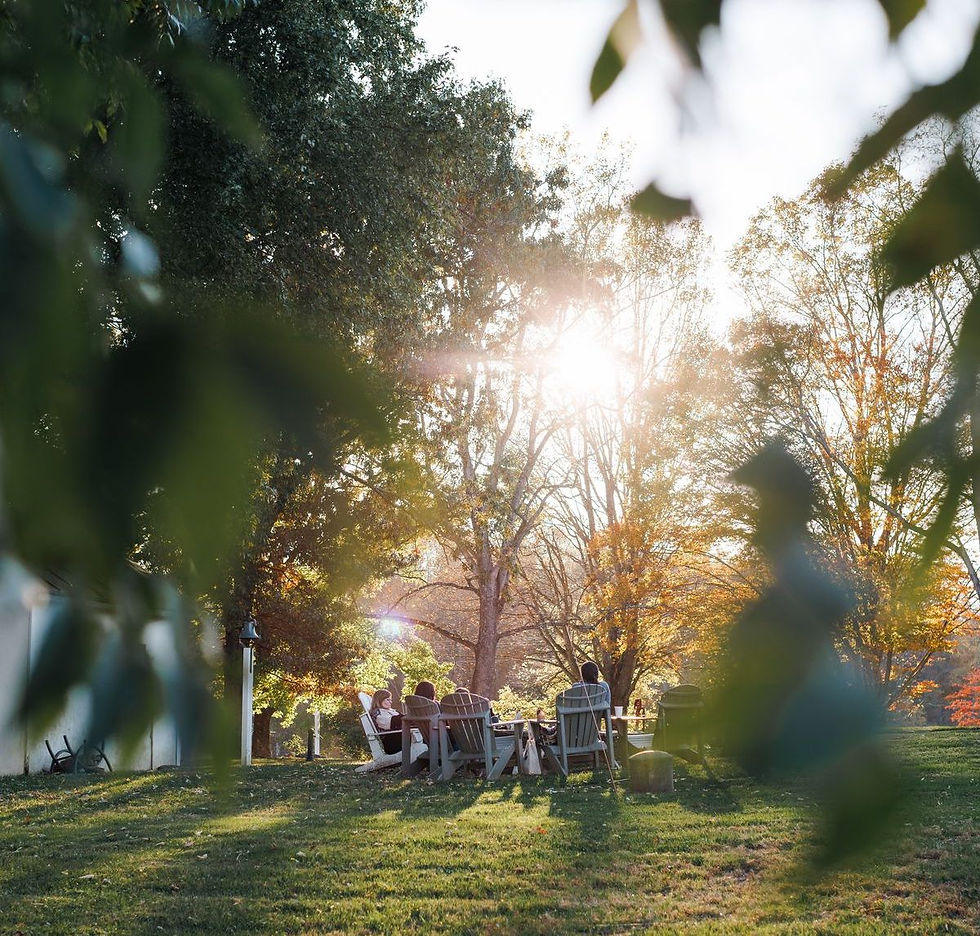 walk and talk therapy